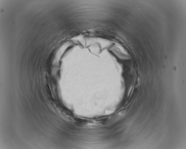 X0000064720366200603131234