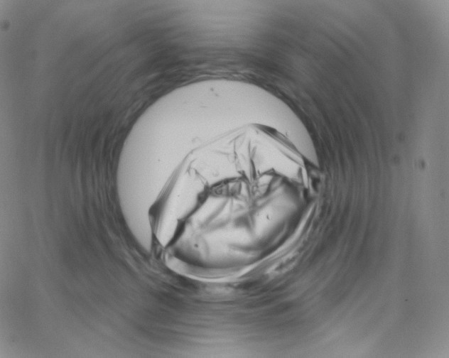 X0000064720380200603131234