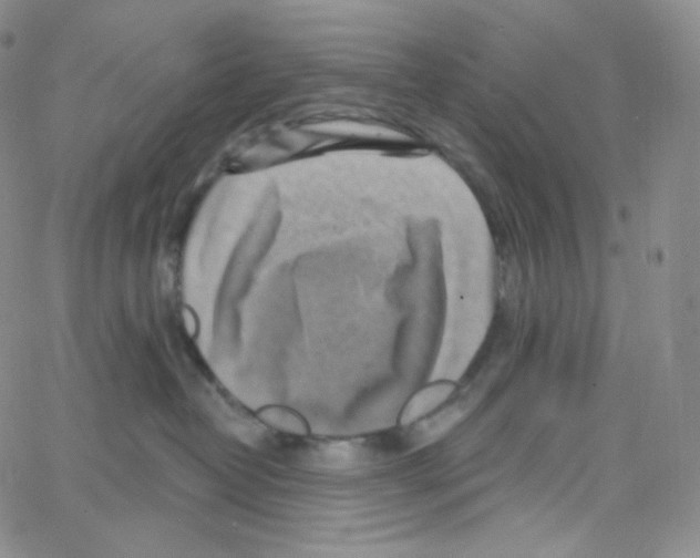 X0000064720382200603131234