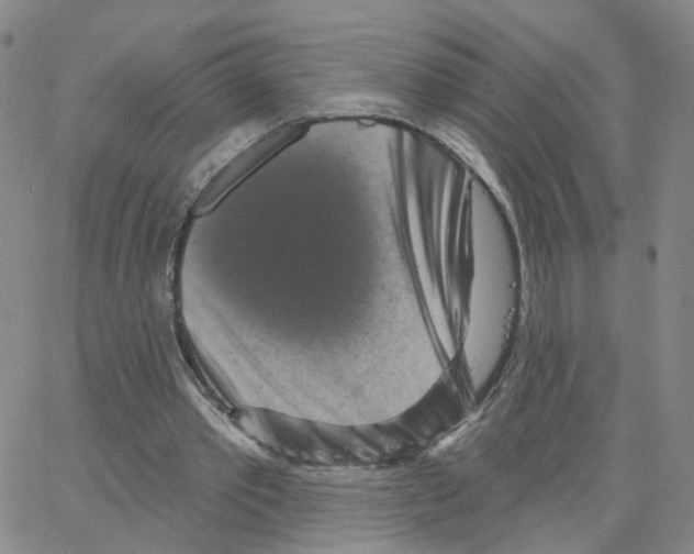 X0000064720389200603131233