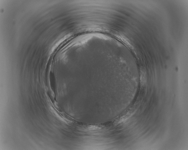 X0000064720390200603131233