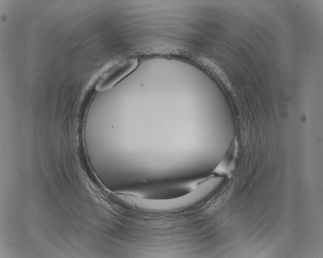 X0000064720395200603131233