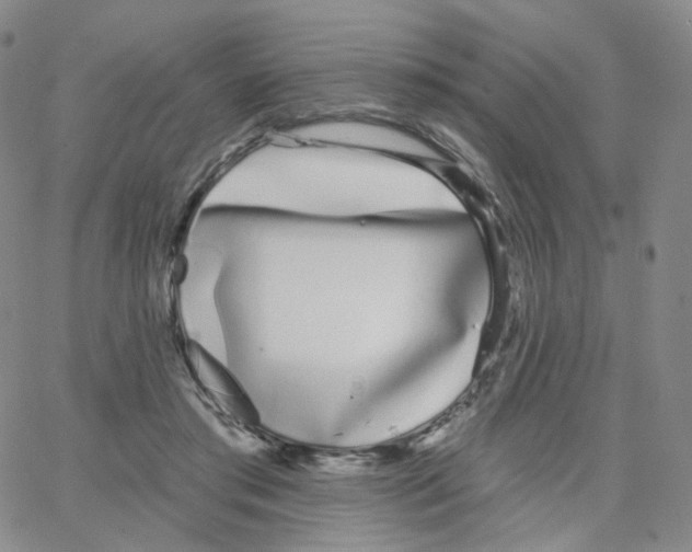 X0000064720405200603131233