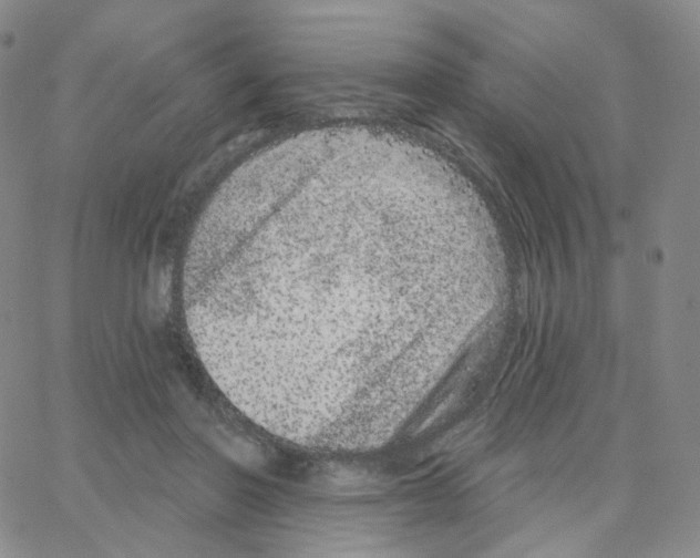 X0000064720406200603131233