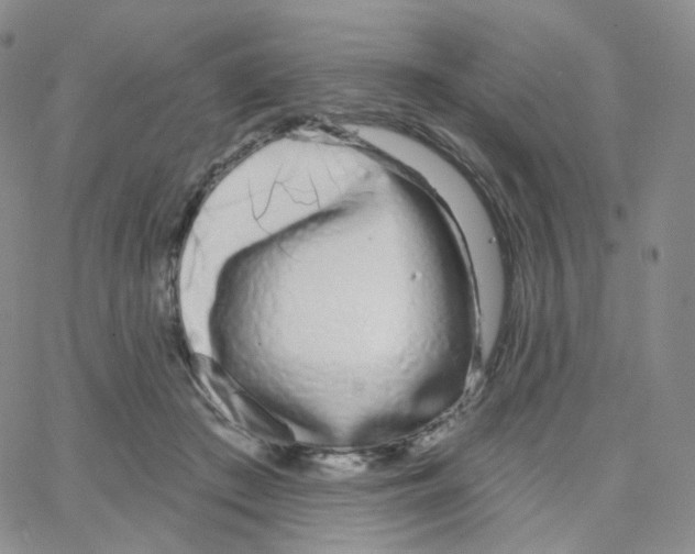 X0000064720409200603131233