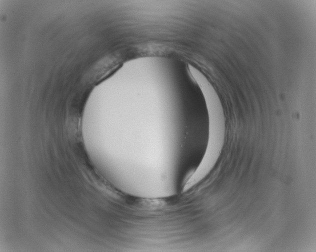 X0000064720429200603131233