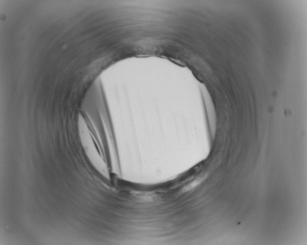 X0000064720432200603131233