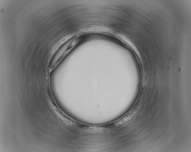 X0000064720437200603131232
