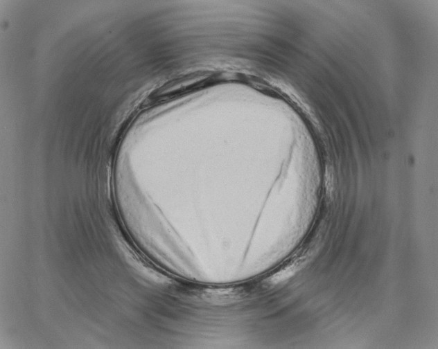X0000064720445200603131232