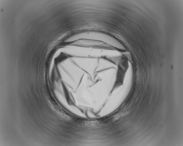 X0000064720446200603131232