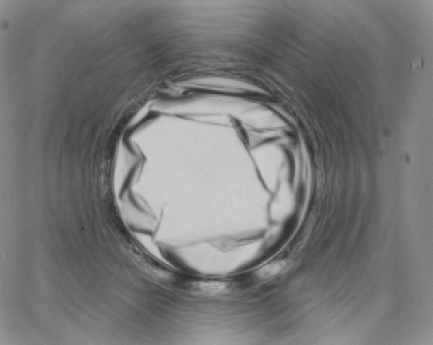 X0000064720462200603131232