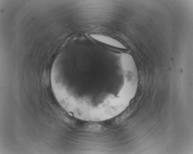 X0000064720471200603131232
