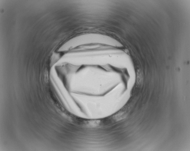 X0000064720474200603131232