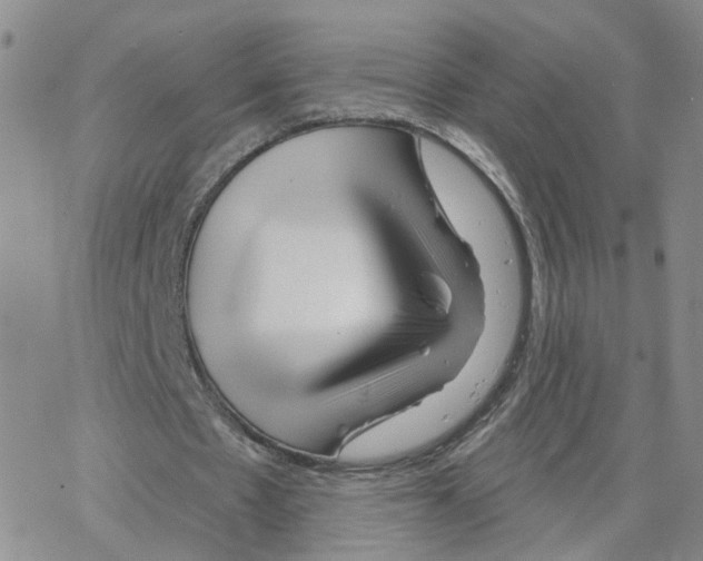 X0000064720481200603131232