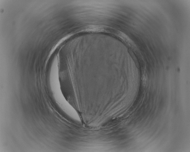 X0000064720484200603131232