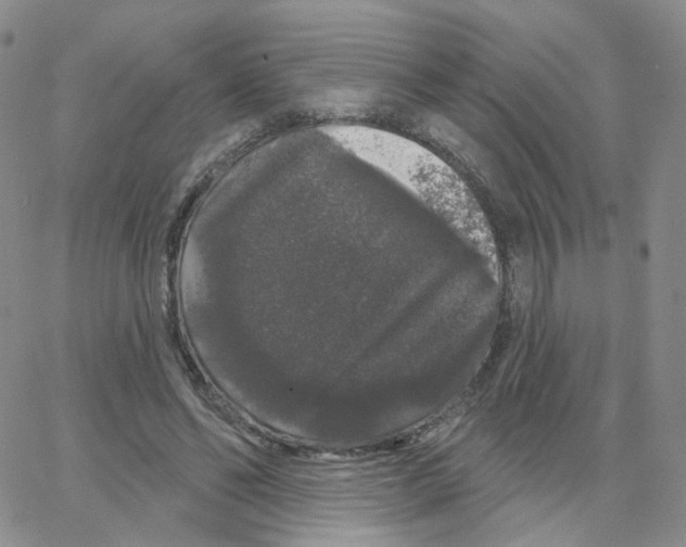 X0000064720494200603131231