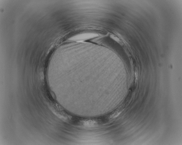 X0000064720500200603131231