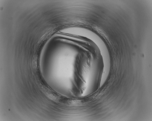 X0000064720501200603131231