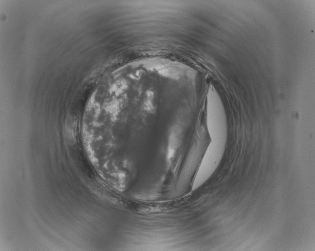 X0000064720503200603131231
