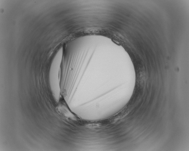 X0000064720508200603131231