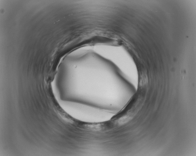 X0000064720524200603131231