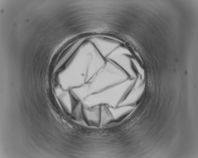 X0000064720532200603131230