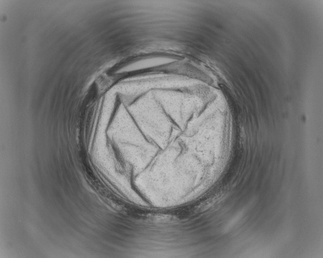 X0000064720539200603131230