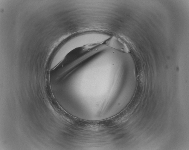 X0000064720540200603131230