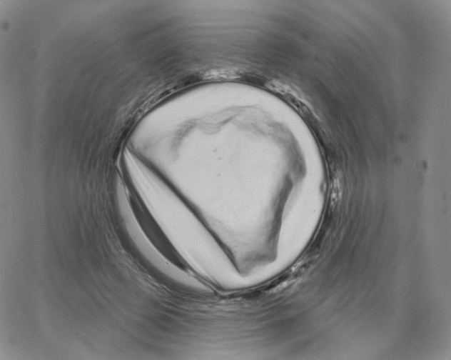 X0000064720545200603131230