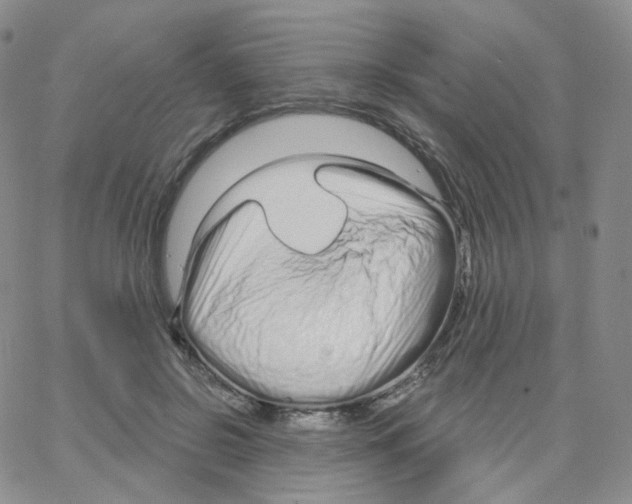 X0000064720550200603131230