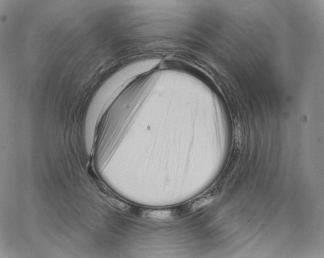 X0000064720554200603131231