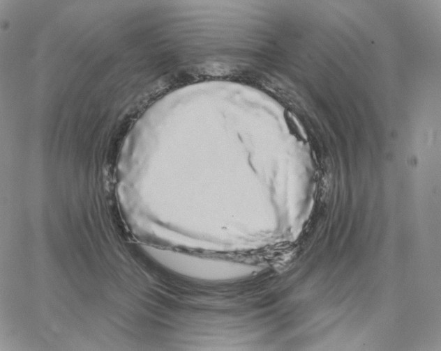 X0000064720555200603131231
