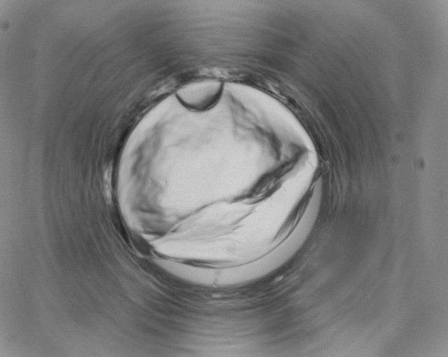 X0000064720557200603131231