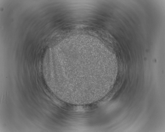 X0000064720565200603131231