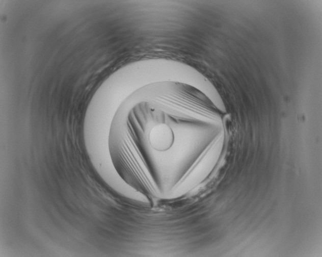 X0000064720566200603131231