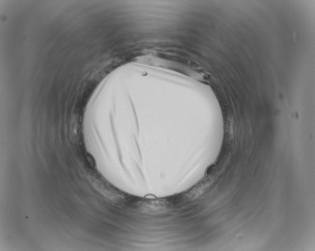 X0000064720567200603131231