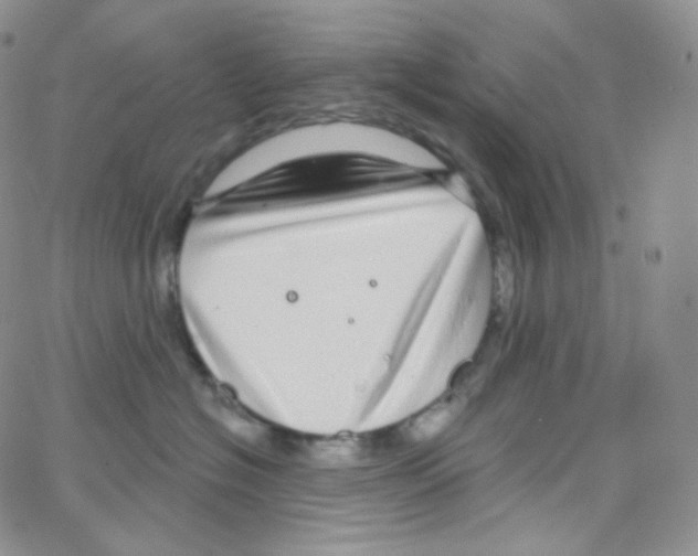 X0000064720574200603131231