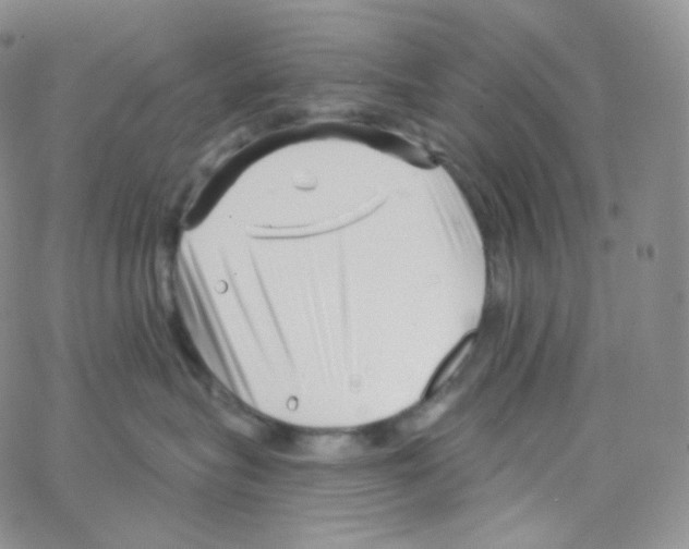 X0000064720575200603131231