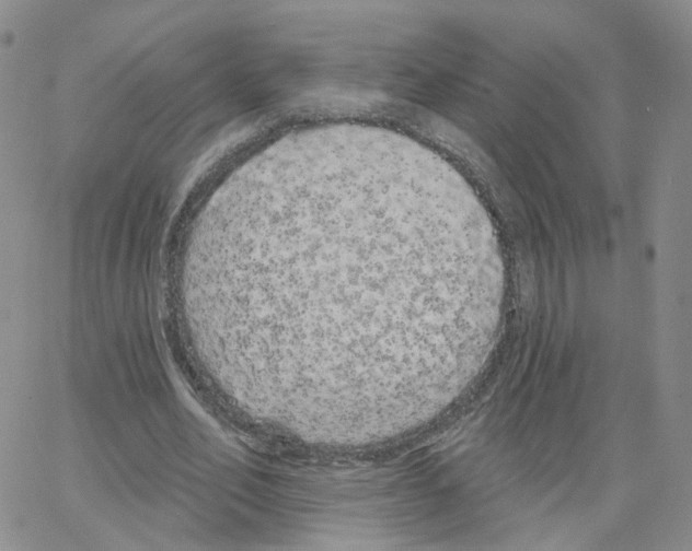 X0000064720582200603131230