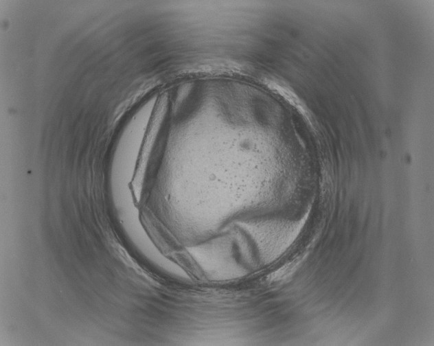 X0000064720585200603131230