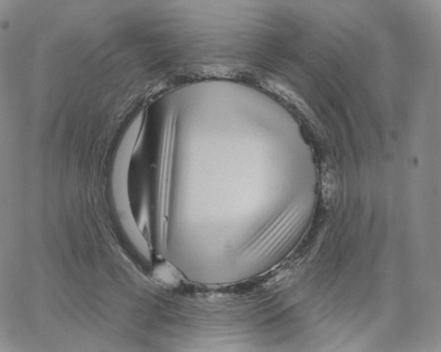 X0000064720593200603131230
