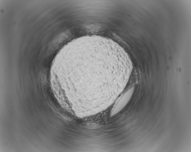 X0000064720615200603131230