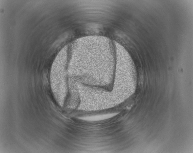 X0000064720616200603131229