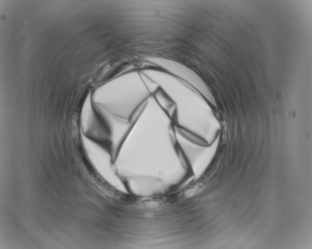 X0000064720620200603131229