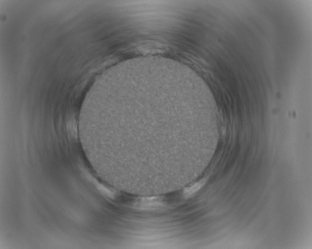 X0000064720622200603131229