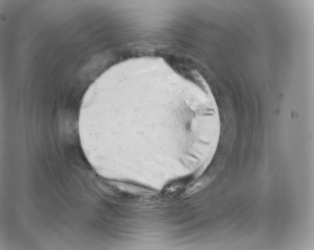 X0000064720624200603131229