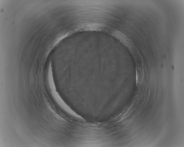 X0000064720627200603131229