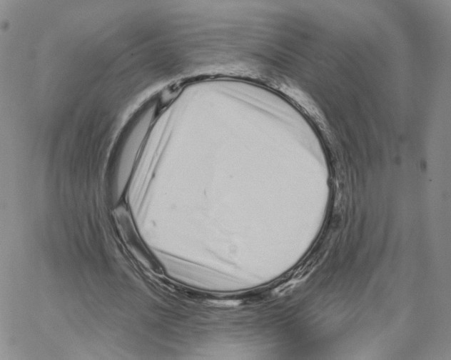 X0000064720628200603131229
