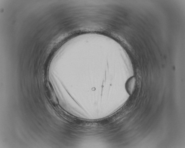 X0000064720631200603131229