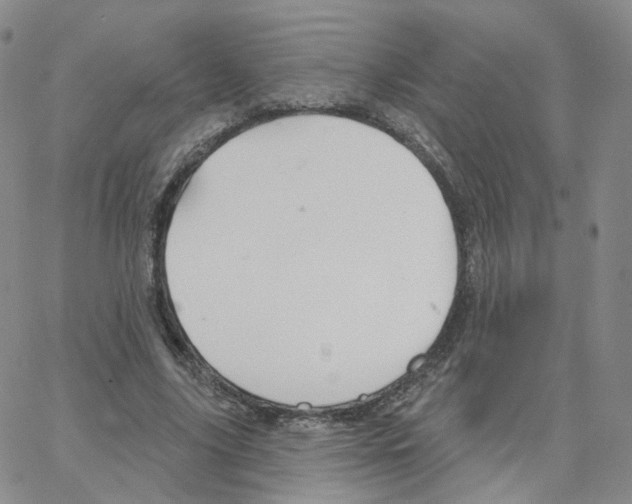 X0000064720635200603131229